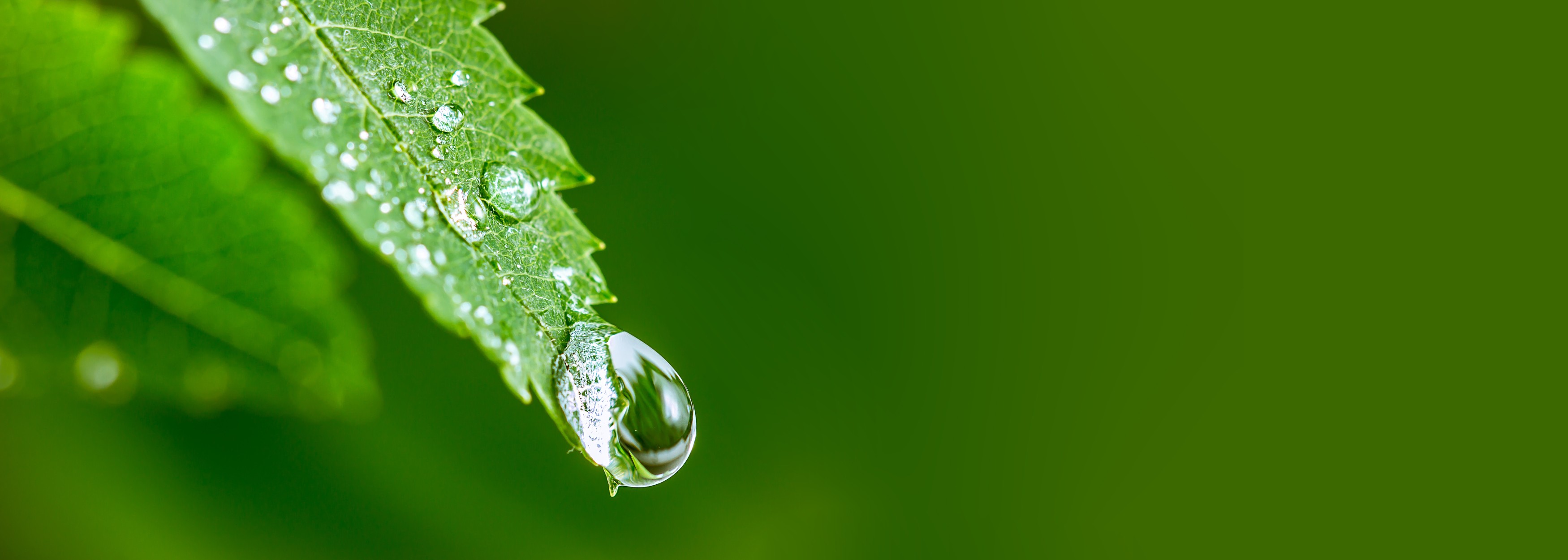 Bureau Veritas Q1 results