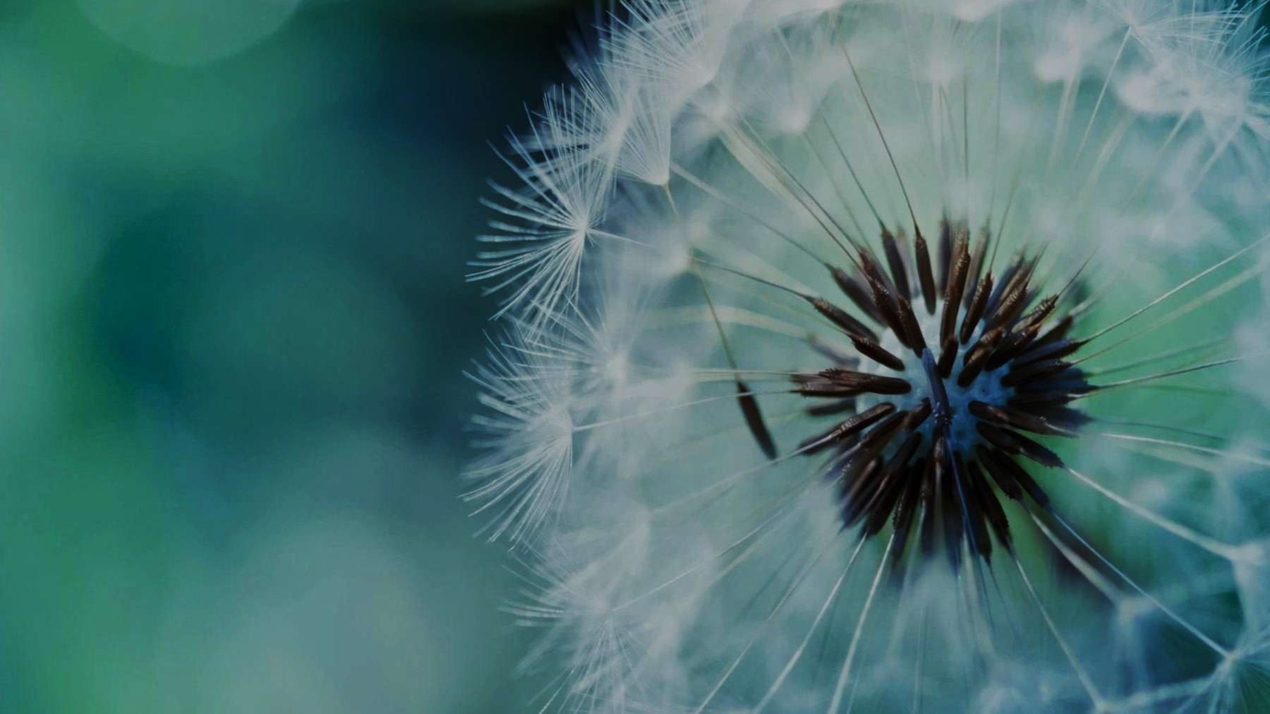 Bureau Veritas Clarity Webinar