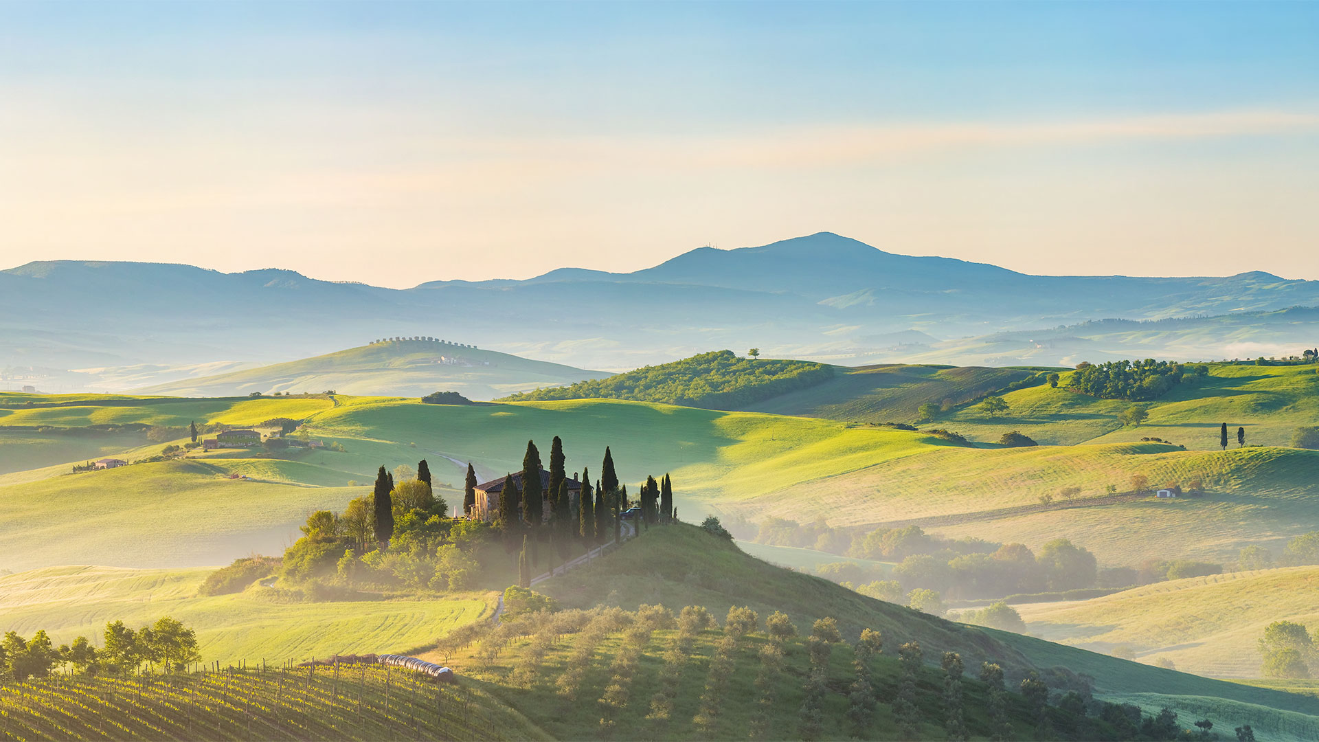 Full year results cover