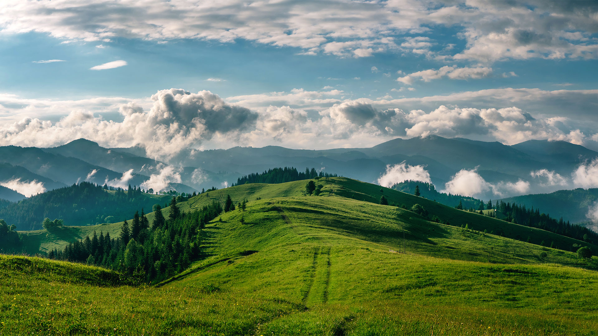 Press release CMD cover @AdobeStock