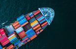 Government Services & International Trade