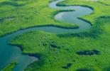 The Evolving Landscape of Carbon Markets Cover