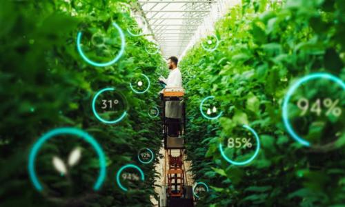 Sustainable Food