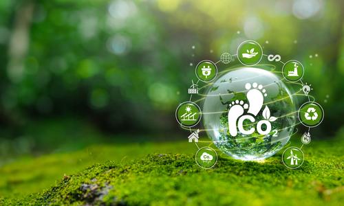 Carbon Footprint Verification