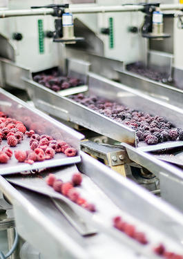 FOOD & AGRI | Middle East
