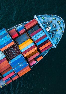 Government Services & International Trade