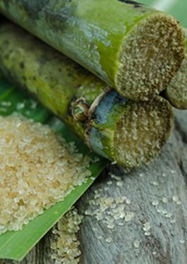Sugar Inspection & Testing Services