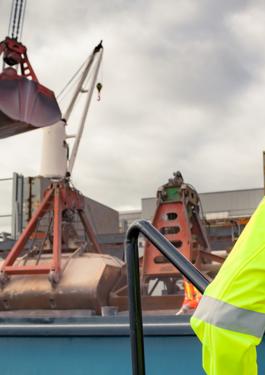 Agri-Commodities Inspection Services