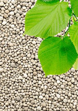 Fertilizers Testing & Inspection Services