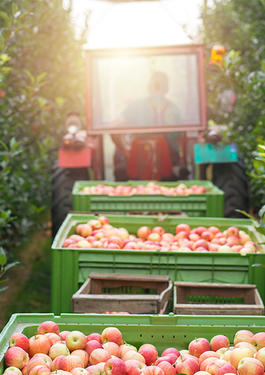 ISO 22000 In-depth Training