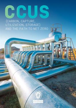 carbon capture storage