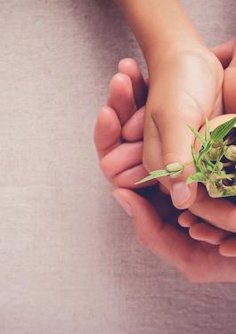 CORPORATE SOCIAL RESPONSIBILITY