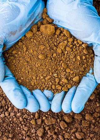 SOIL ASSESSMENT 