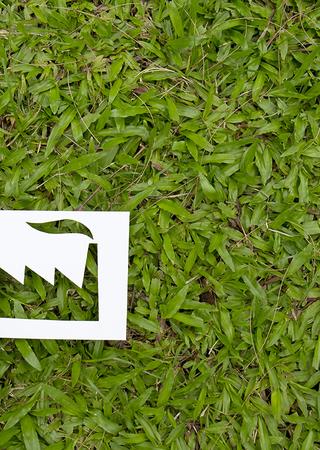 ENVIRONMENTAL IMPACT ASSESSMENT