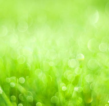 green background