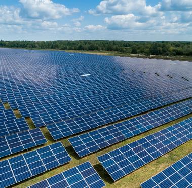 solar procurement @shutterstock