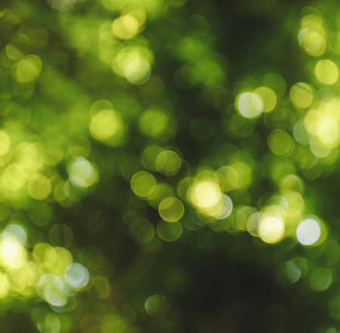 green cover